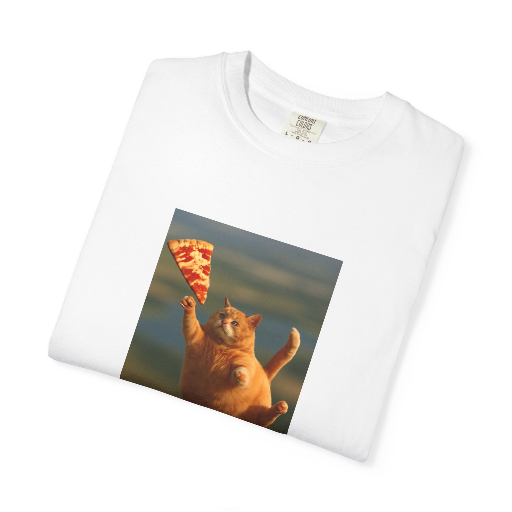 Pizza Catcher