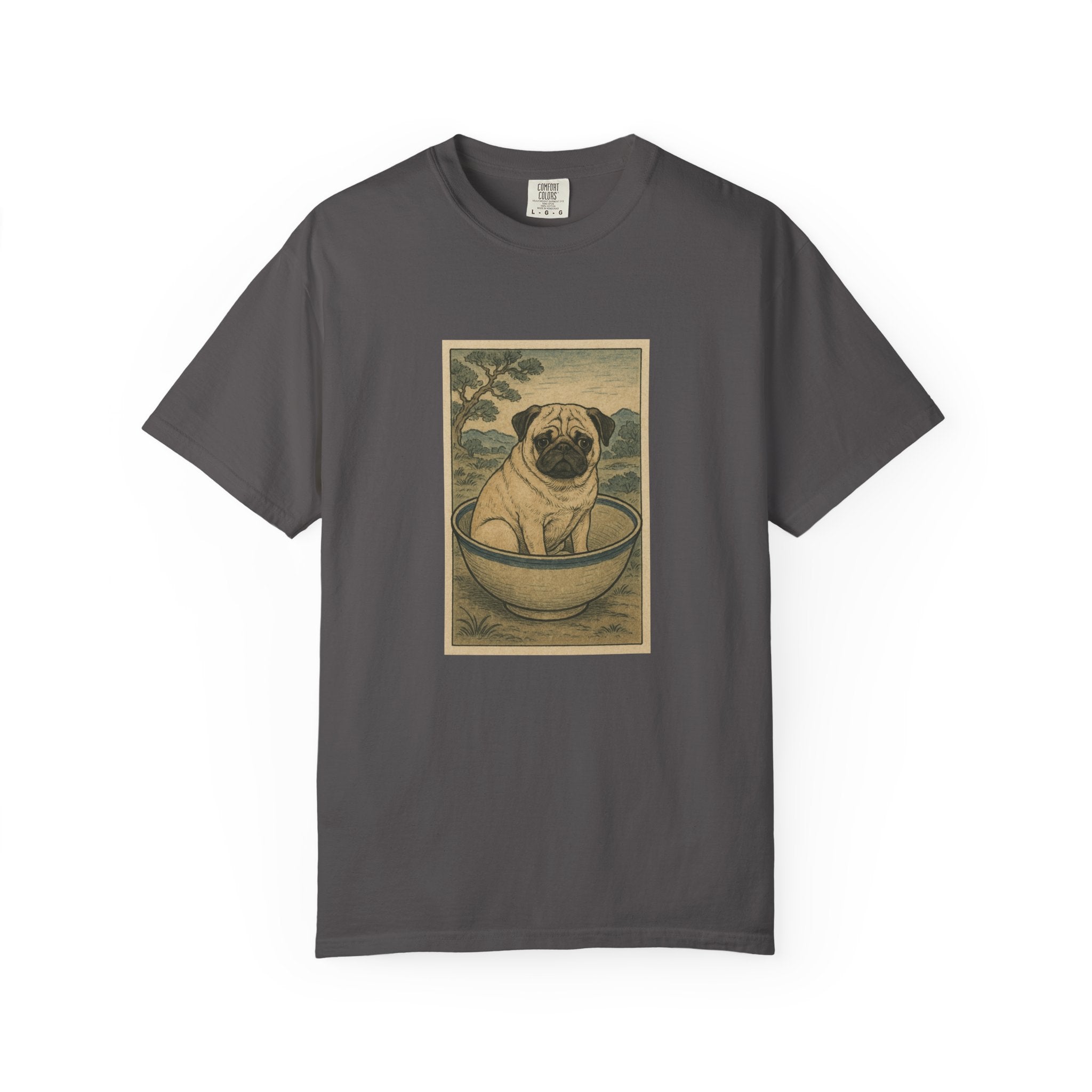 Pug in a Bowl