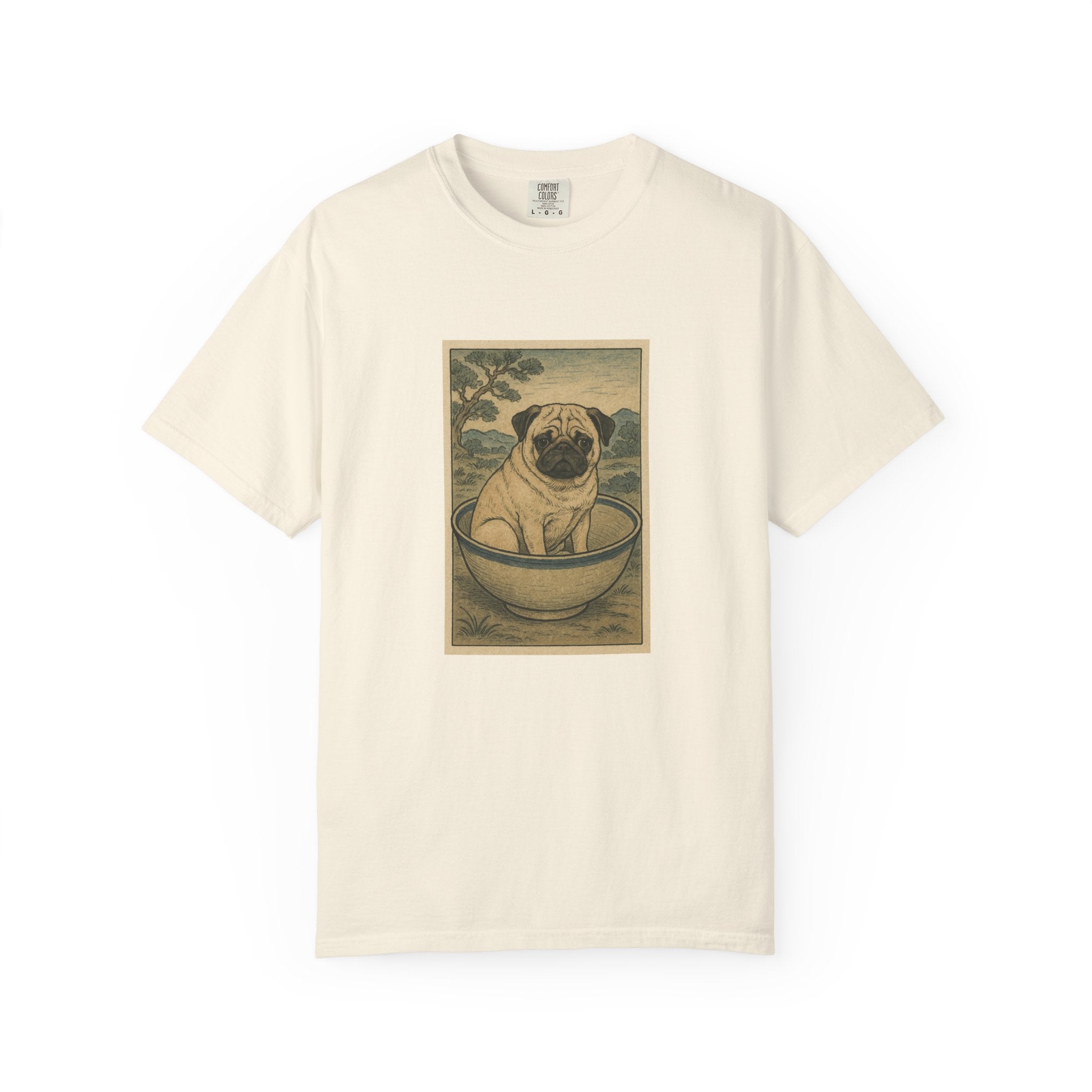 Pug in a Bowl