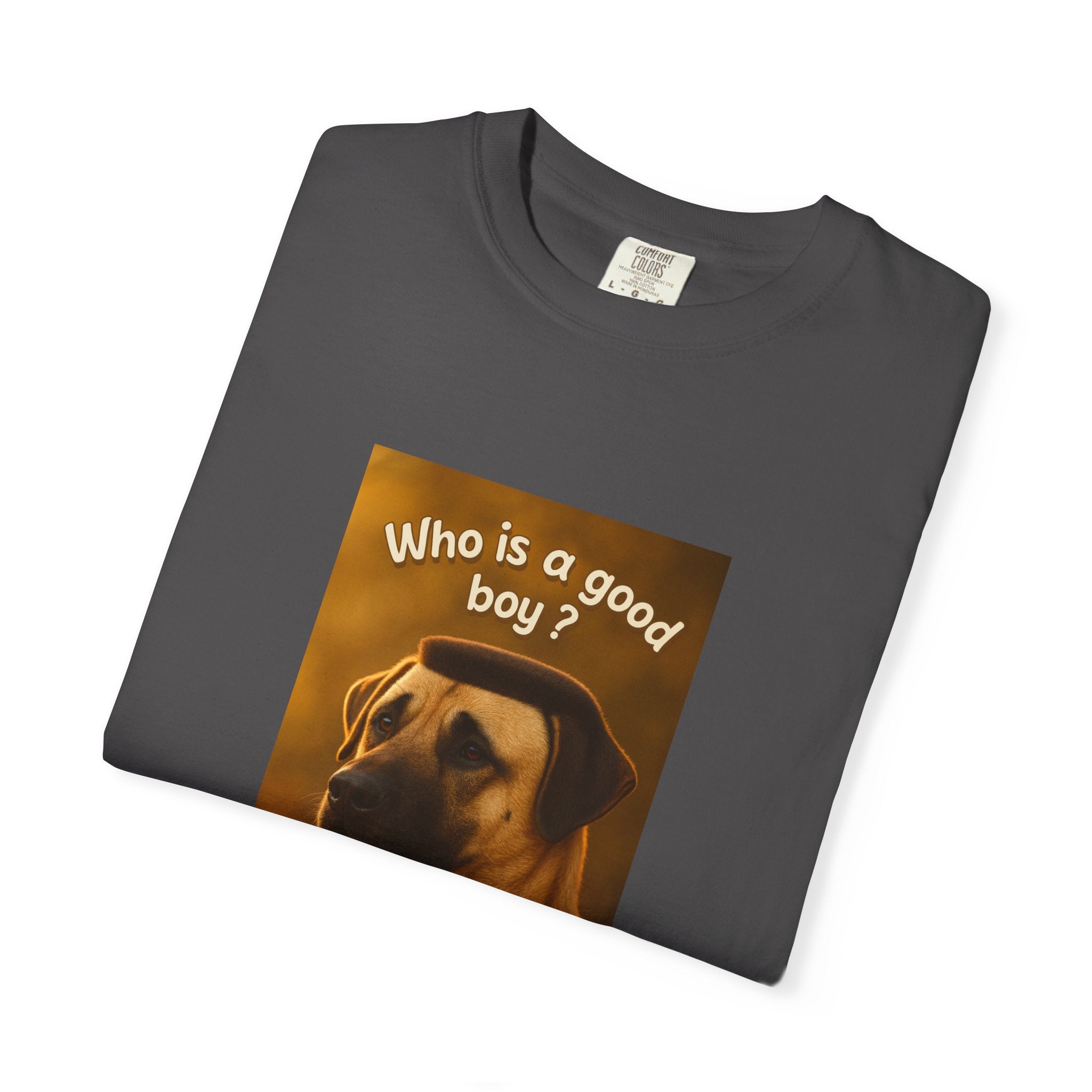 Who is a good boy?