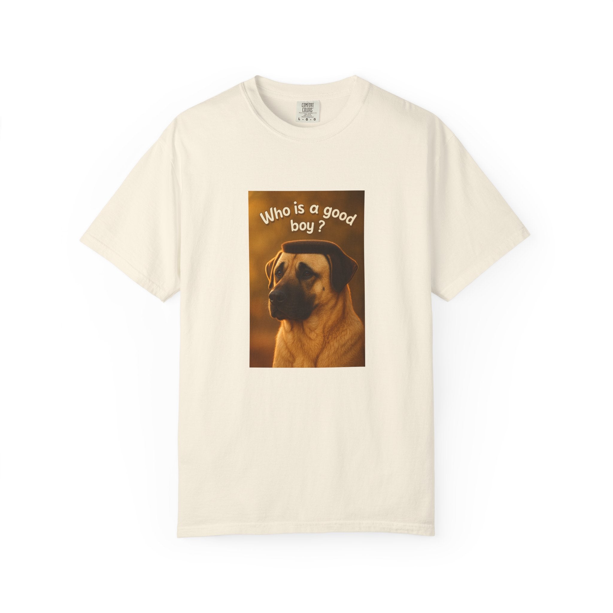 Who is a good boy?