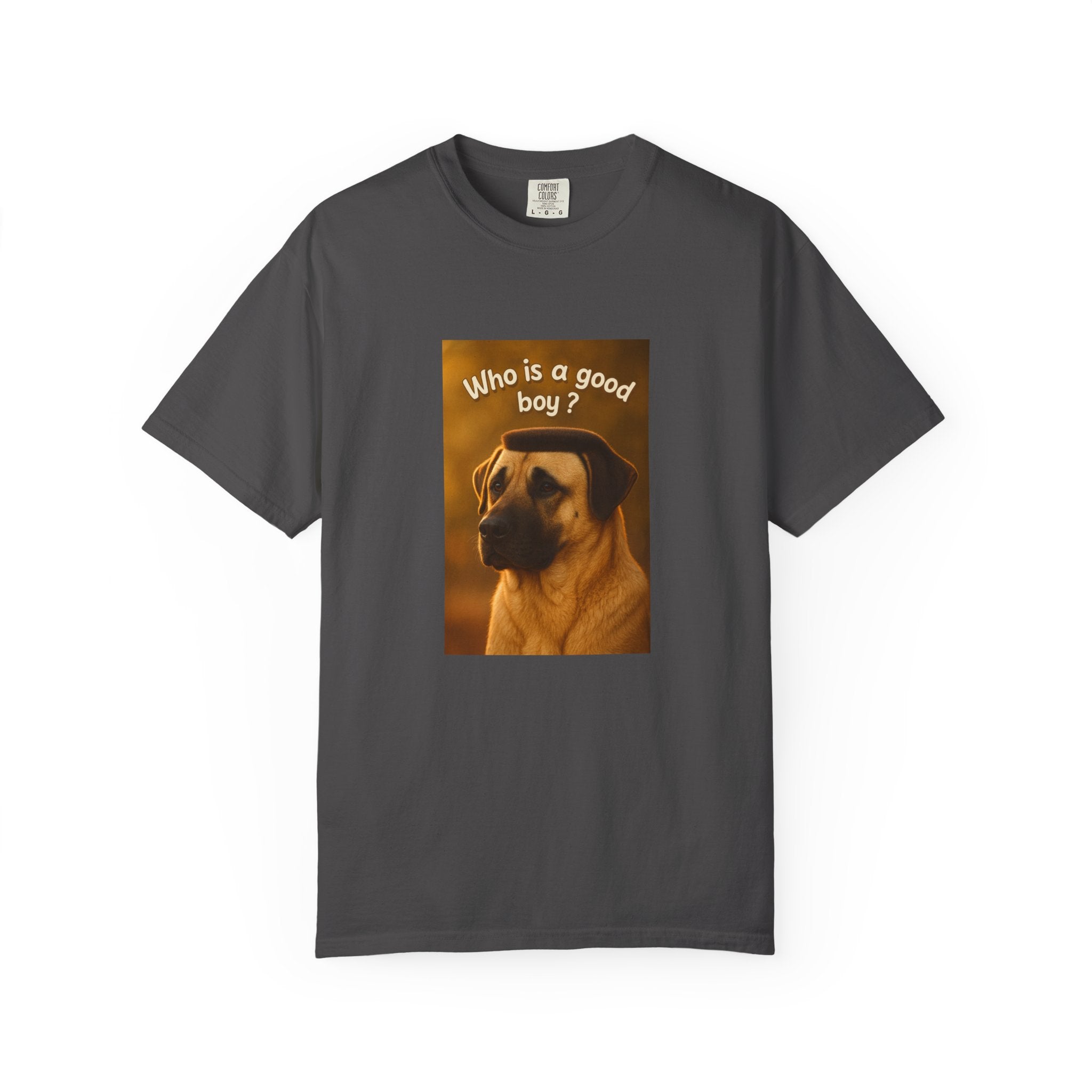 Who is a good boy?