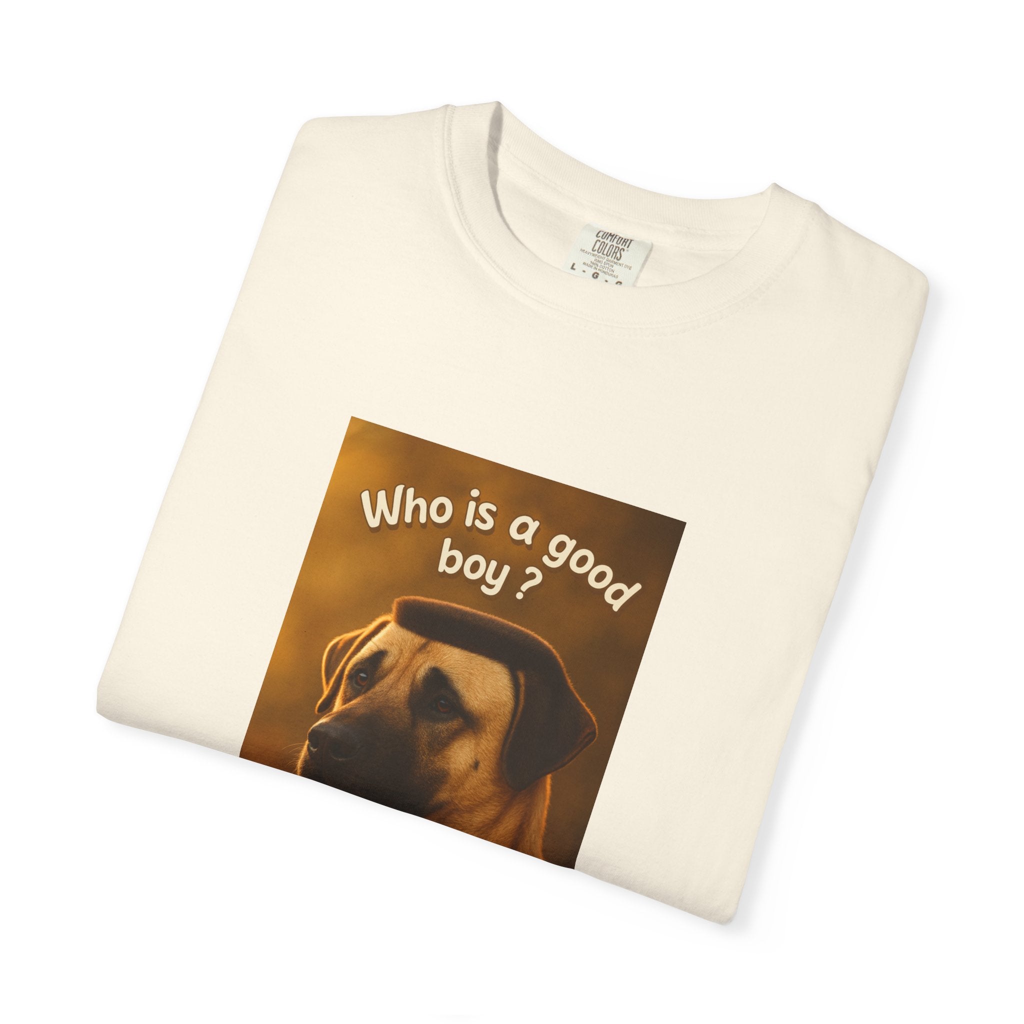Who is a good boy?