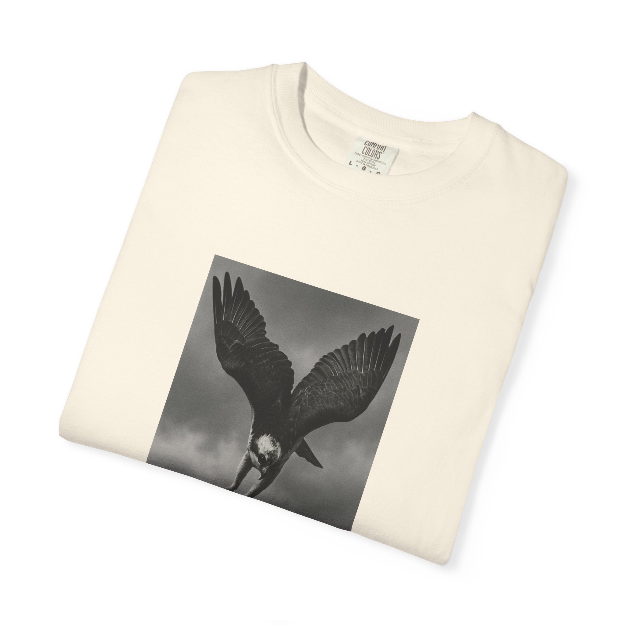 Osprey's Anti Grift