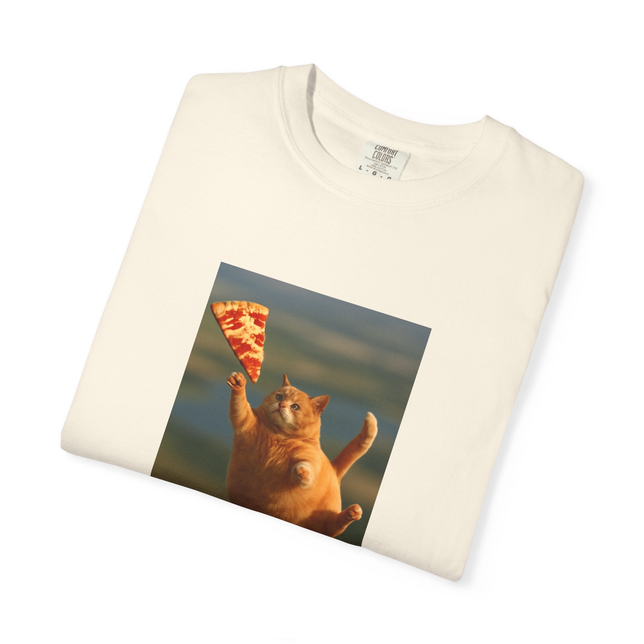 Pizza Catcher