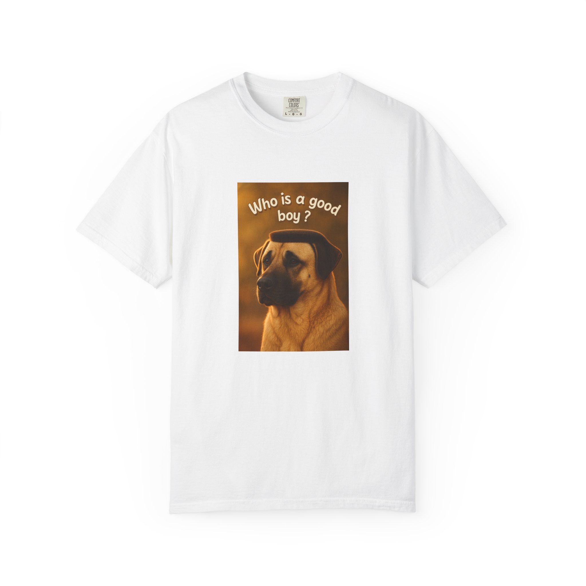Who is a good boy?