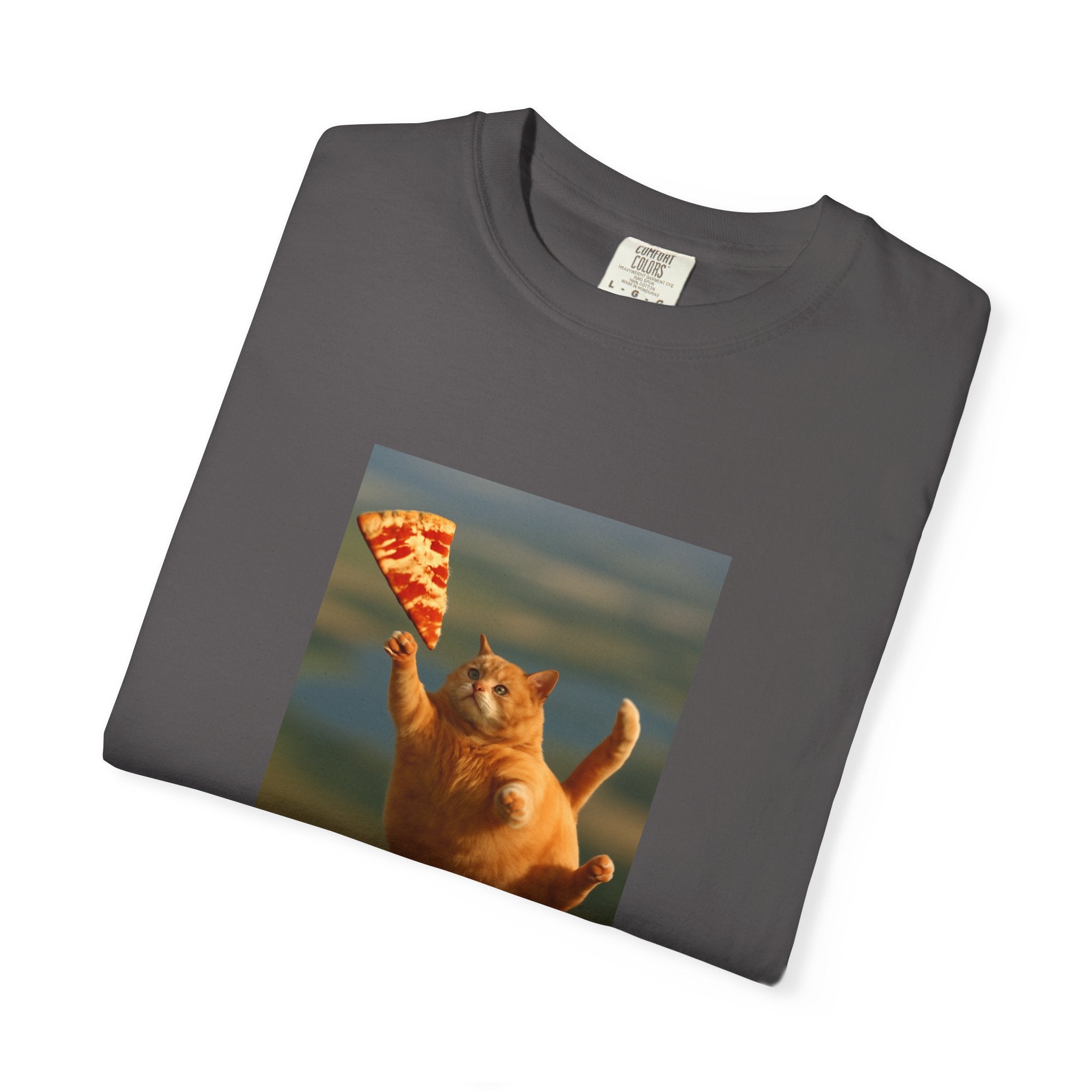 Pizza Catcher