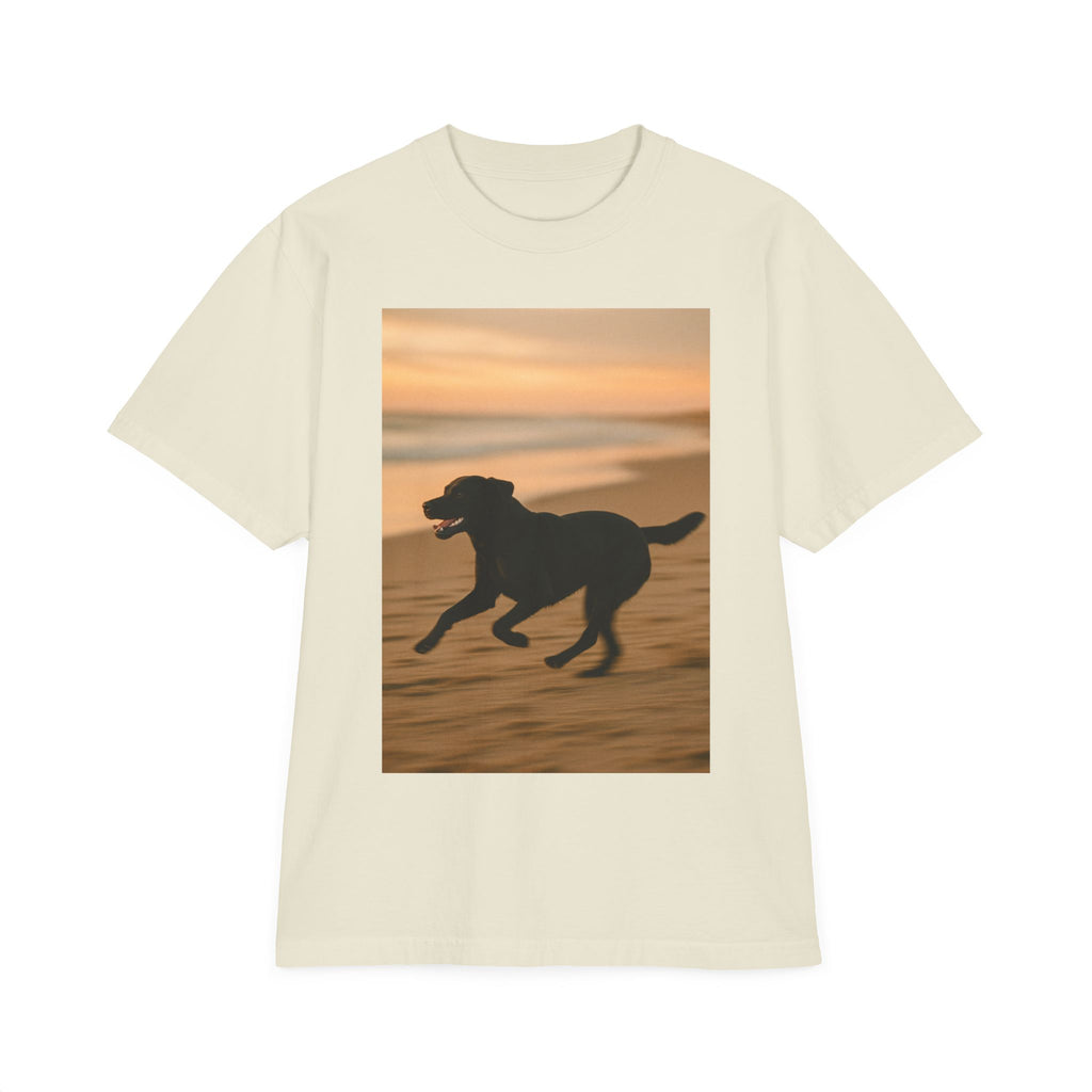 Galloping Lab Sunset