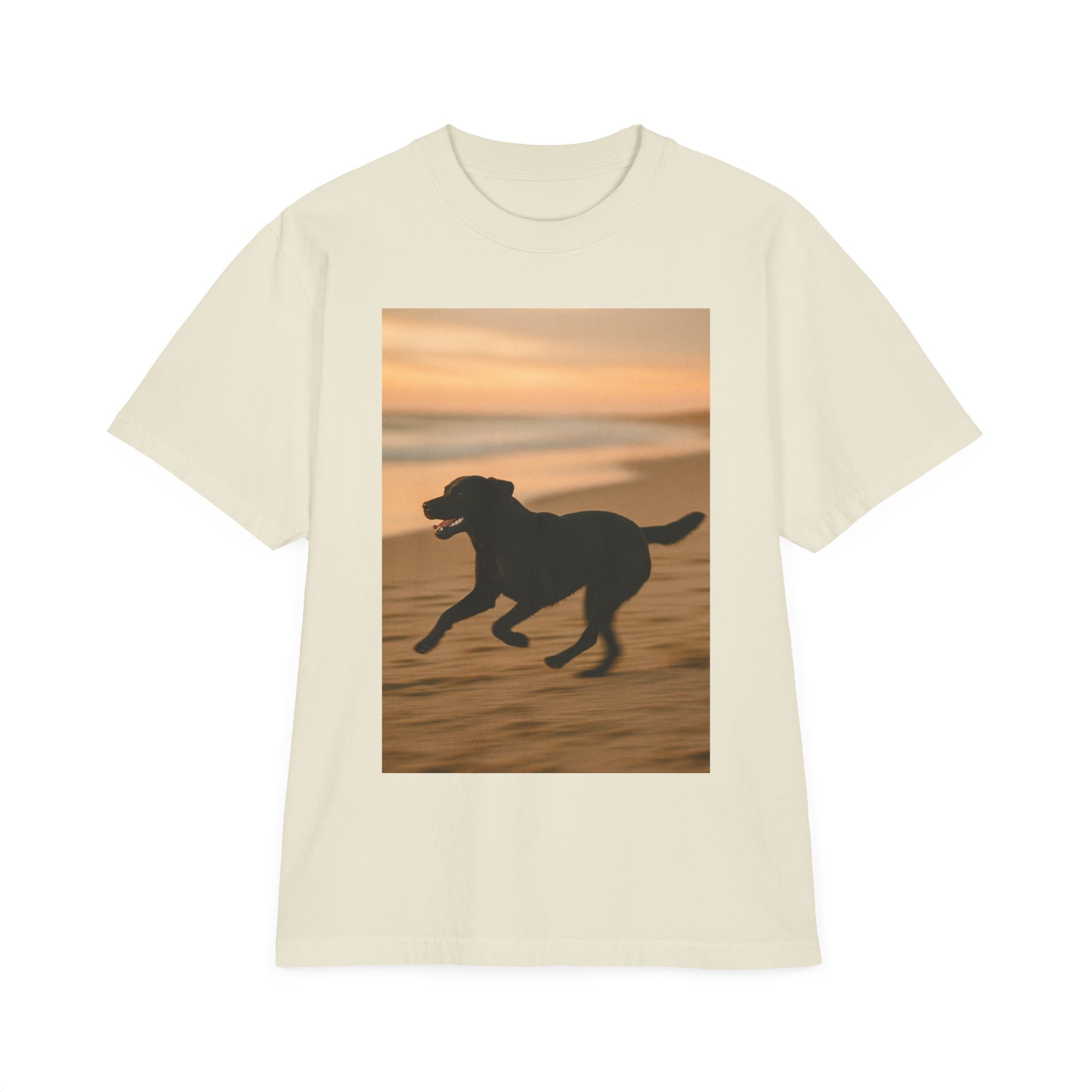 Galloping Lab Sunset