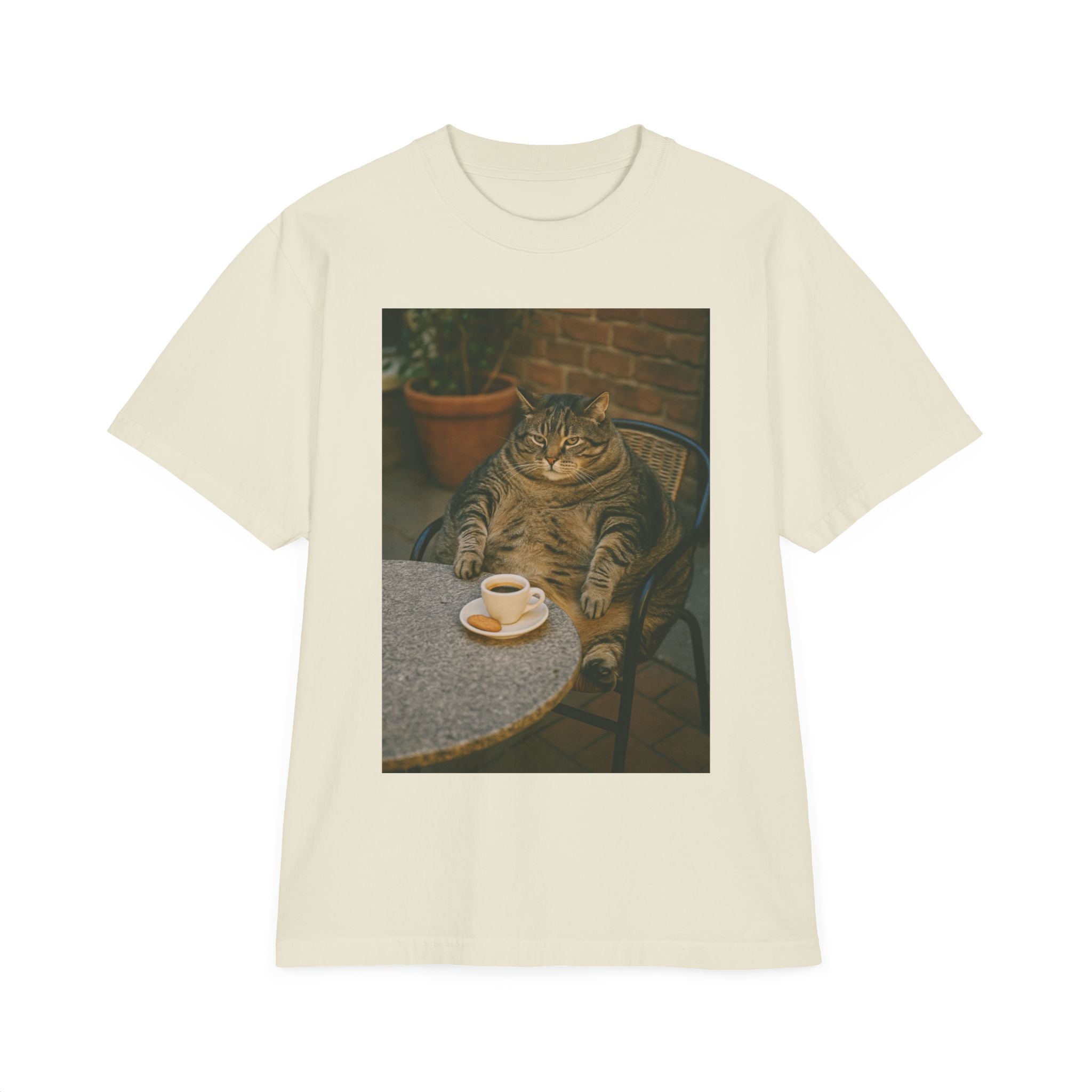 Chubby Cat Café