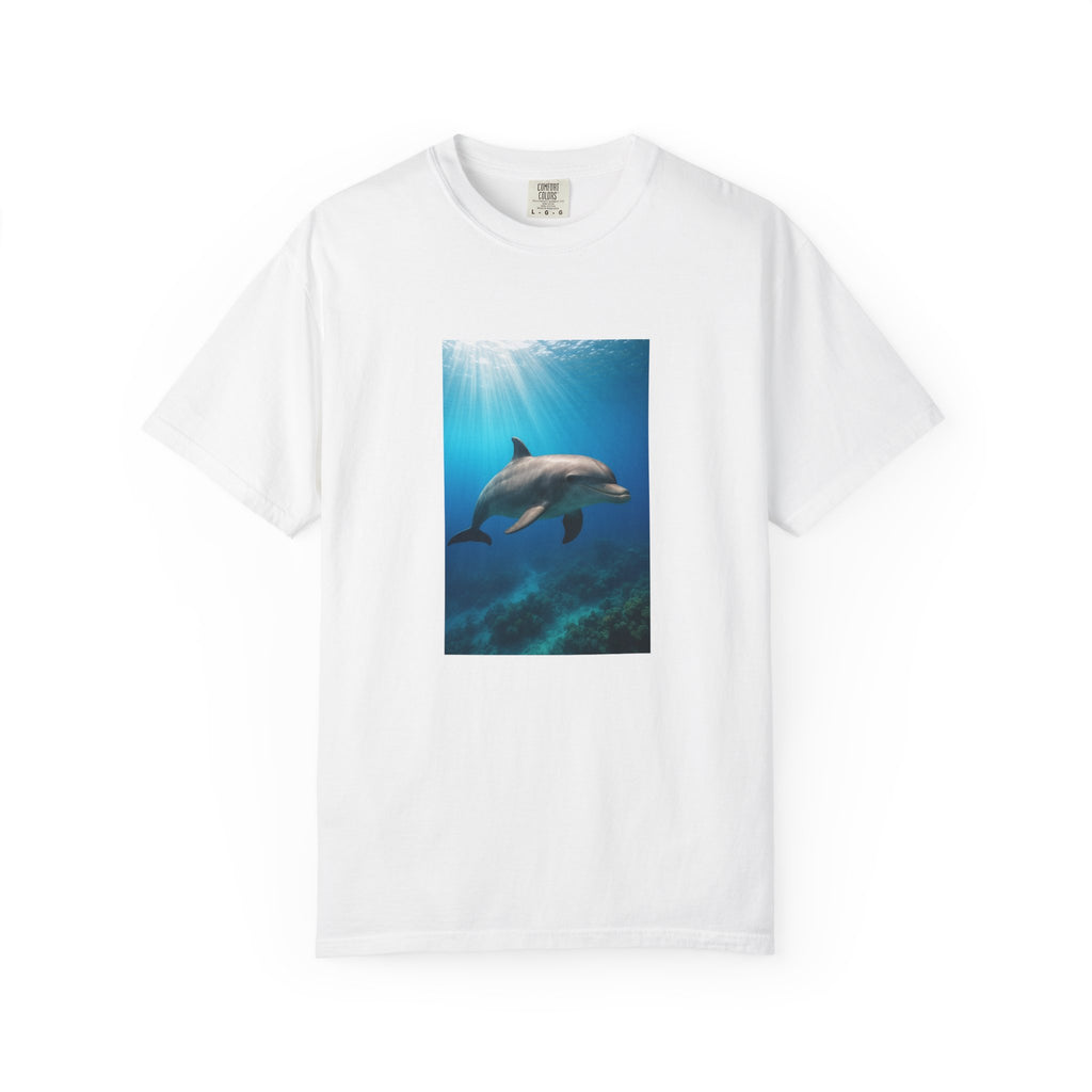 Dolphin Splash