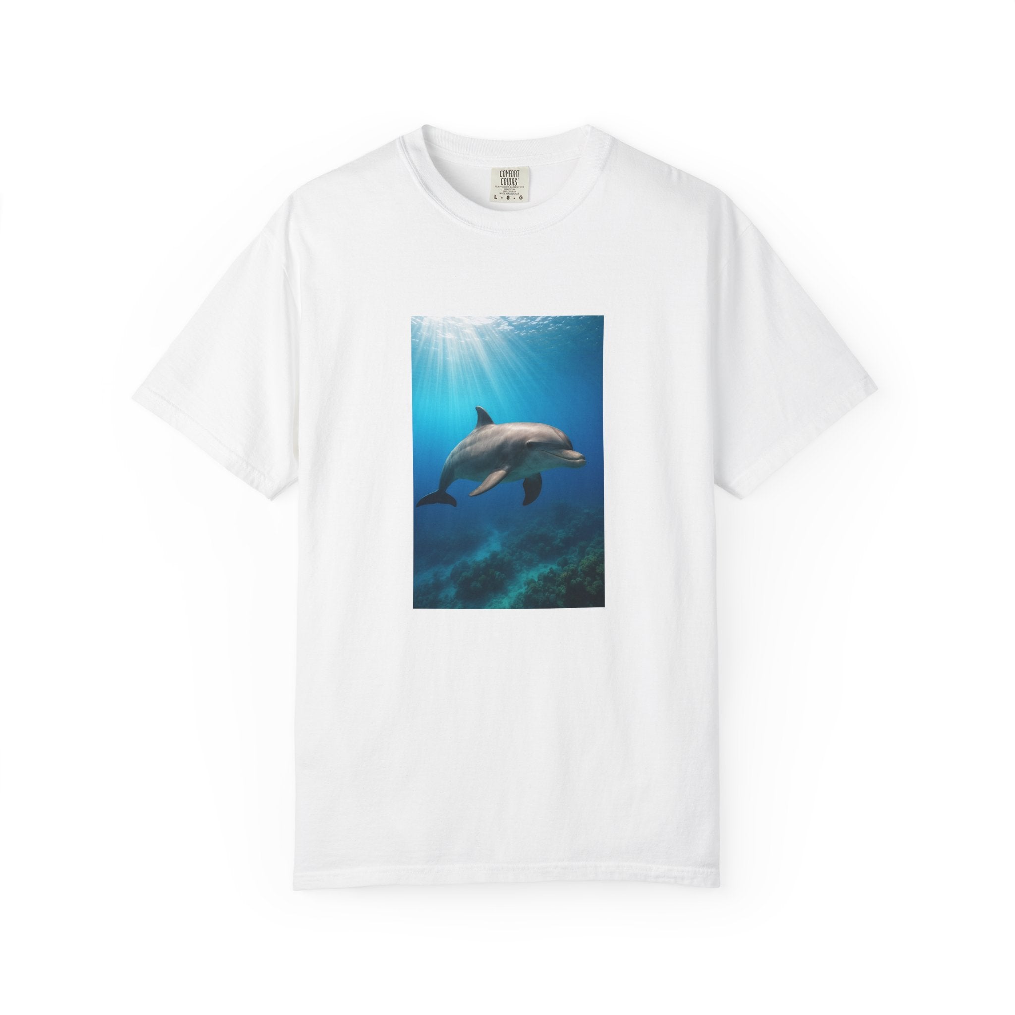 Dolphin Splash