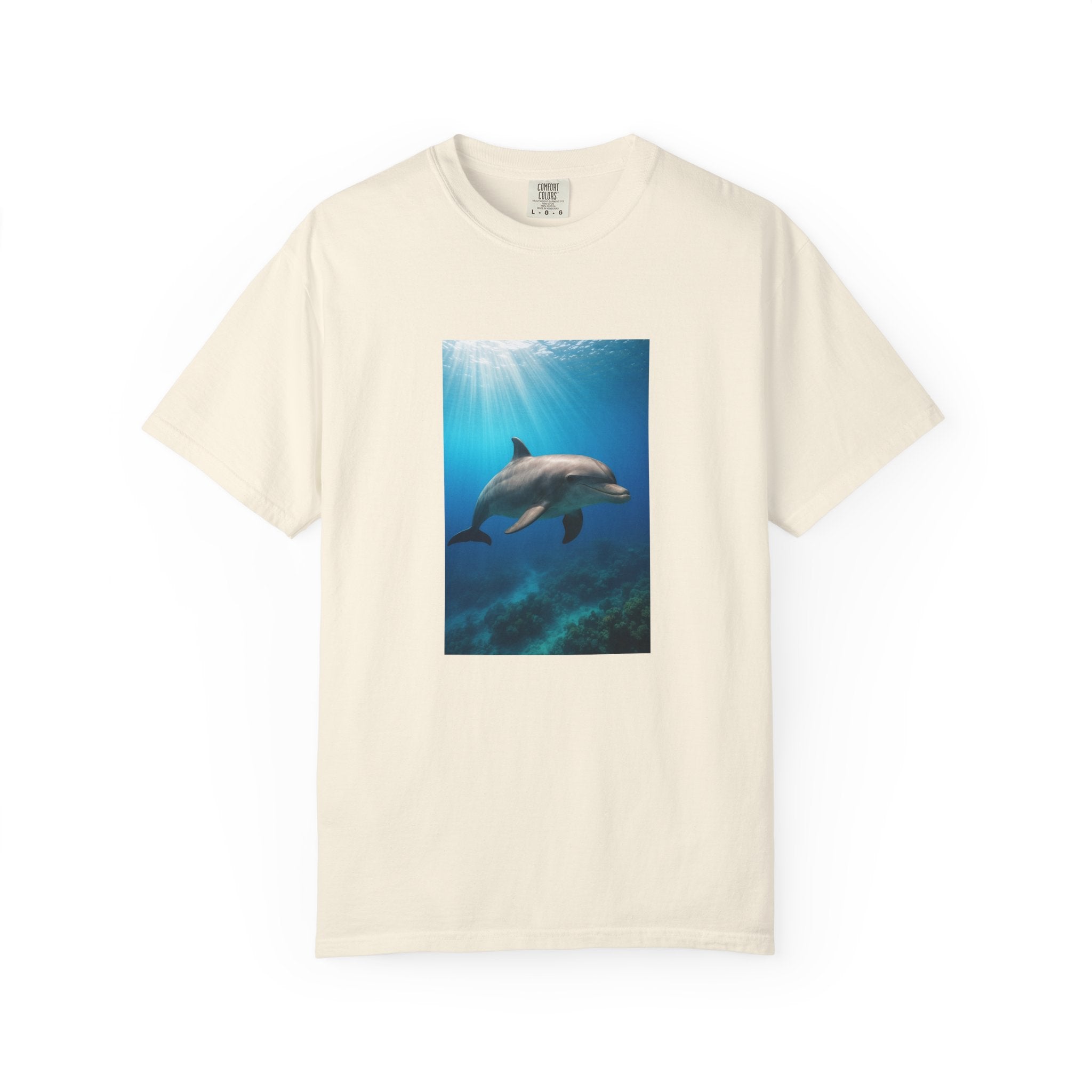 Dolphin Splash