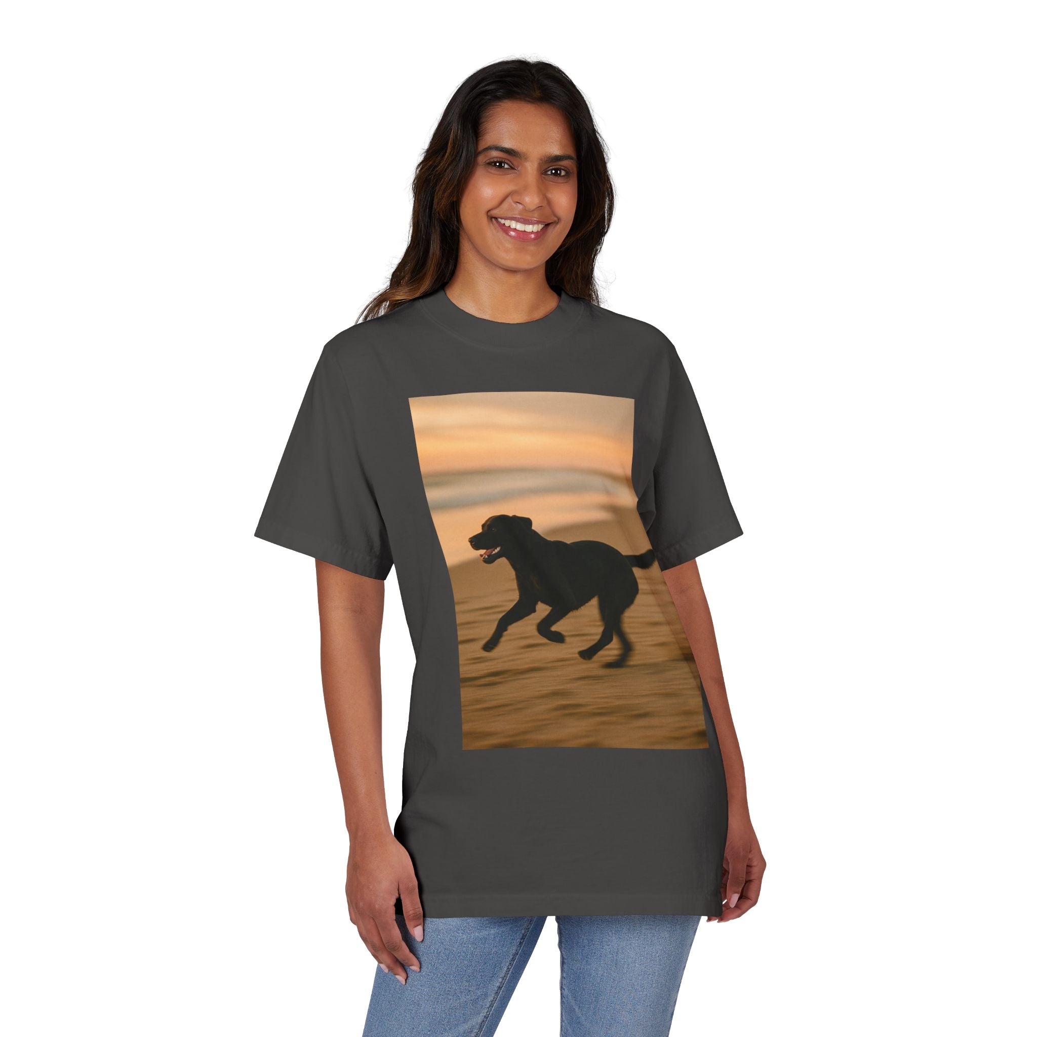 Galloping Lab Sunset