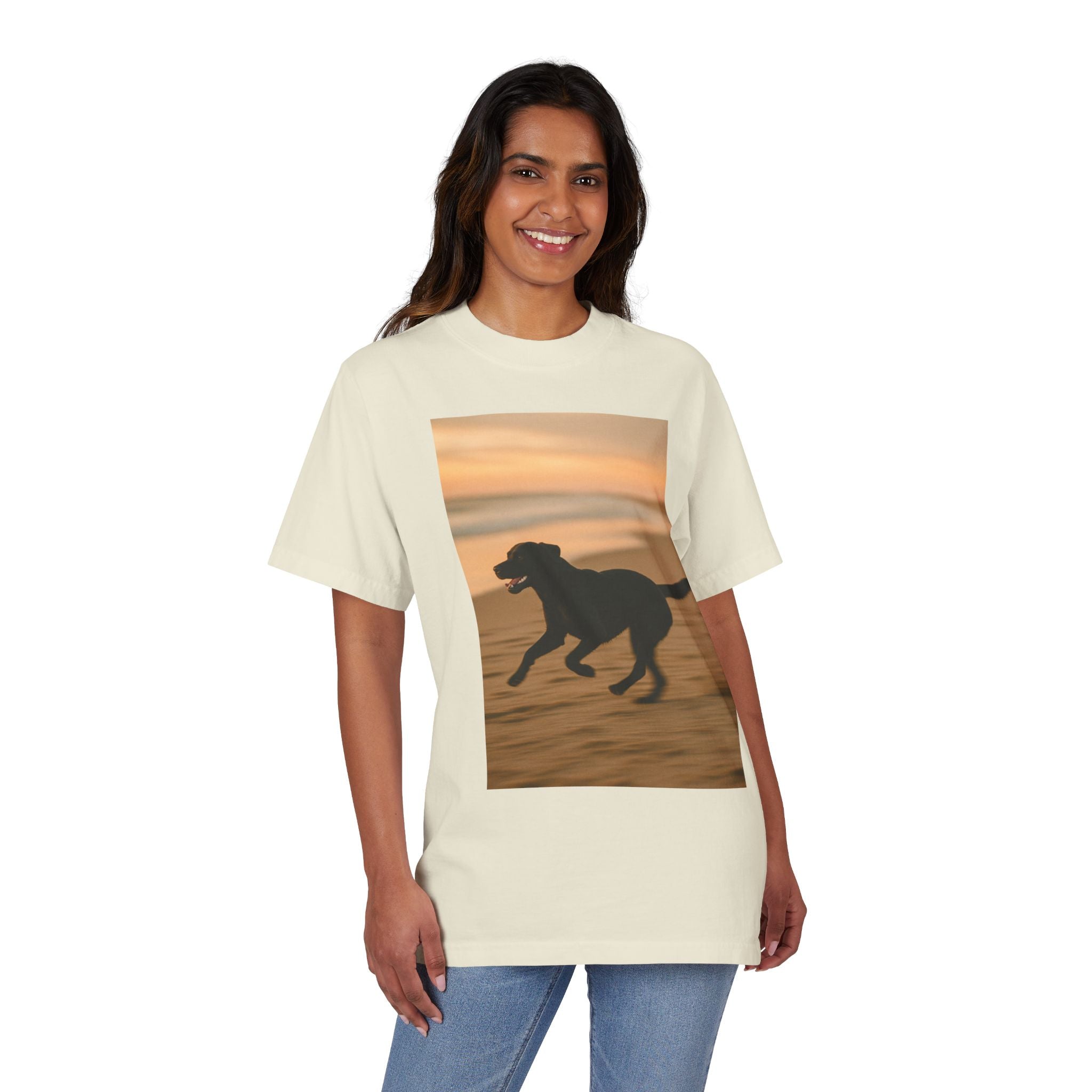 Galloping Lab Sunset
