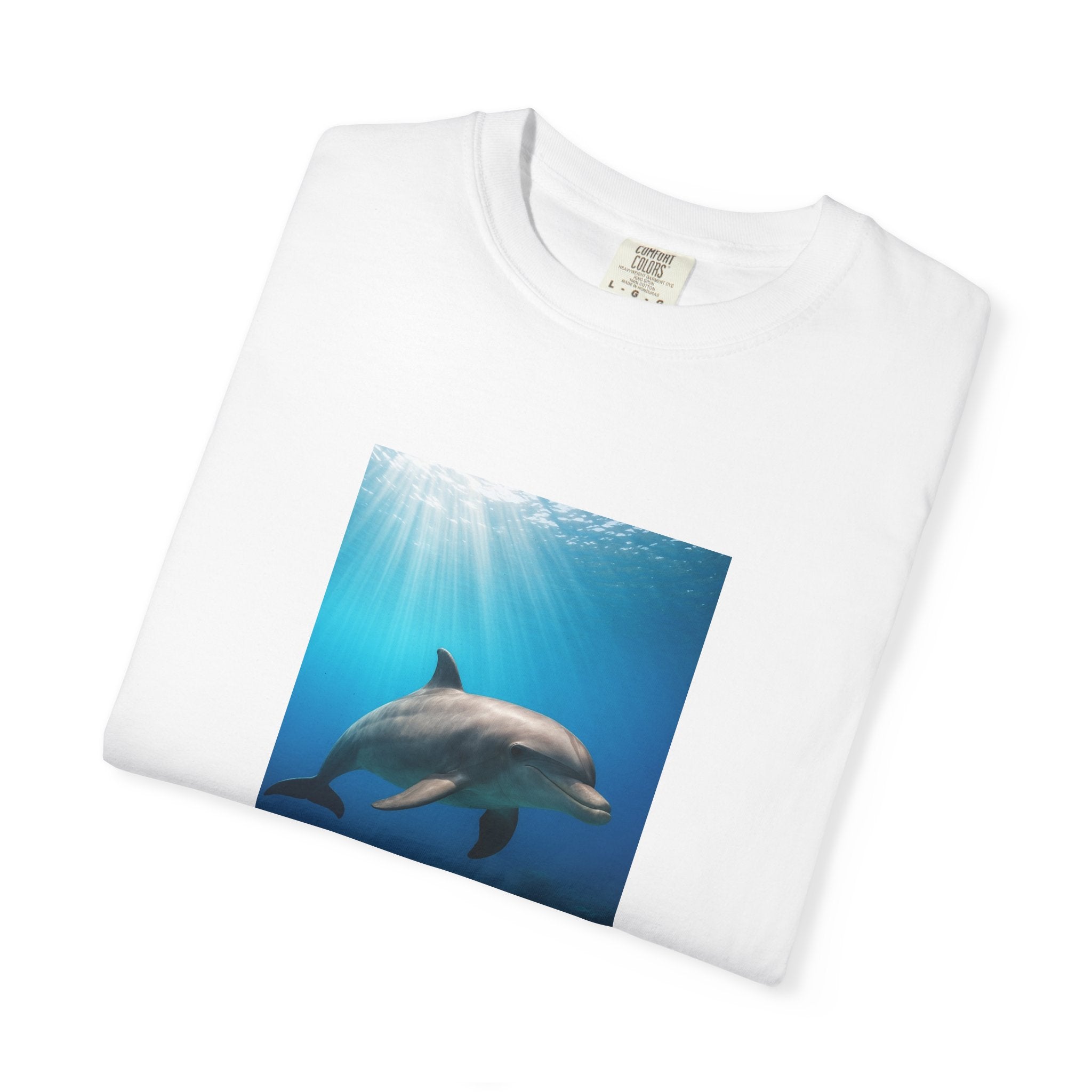 Dolphin Splash
