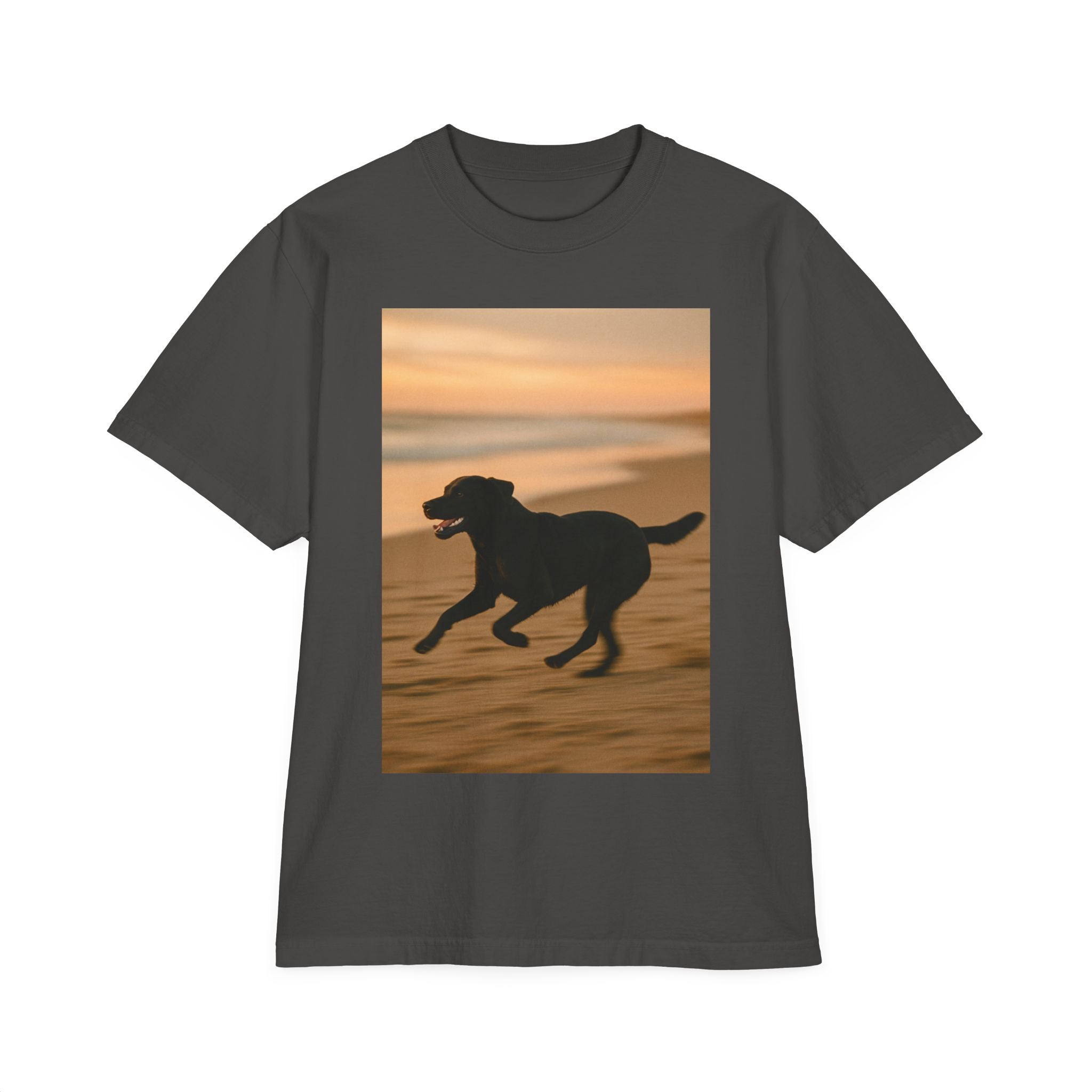 Galloping Lab Sunset