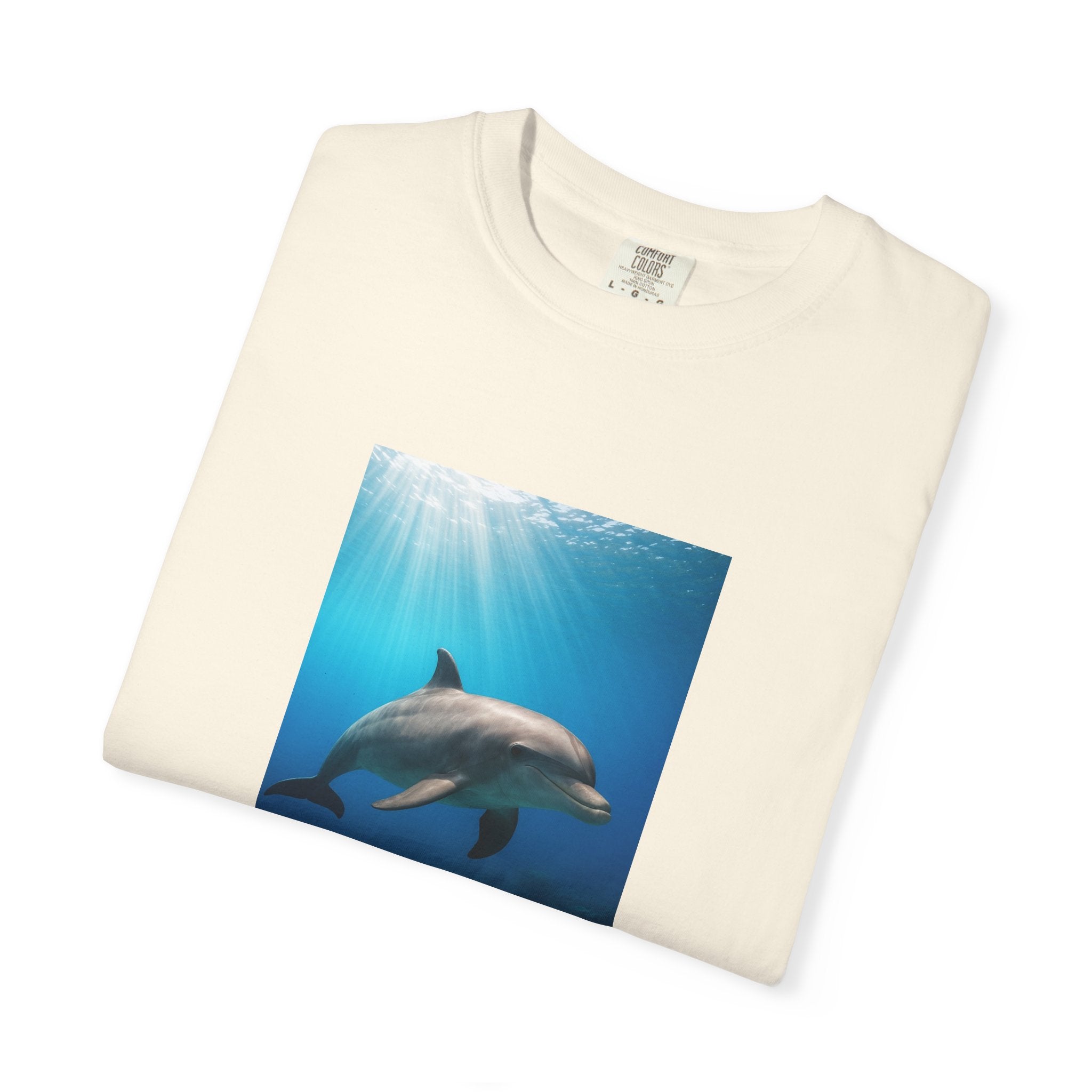 Dolphin Splash