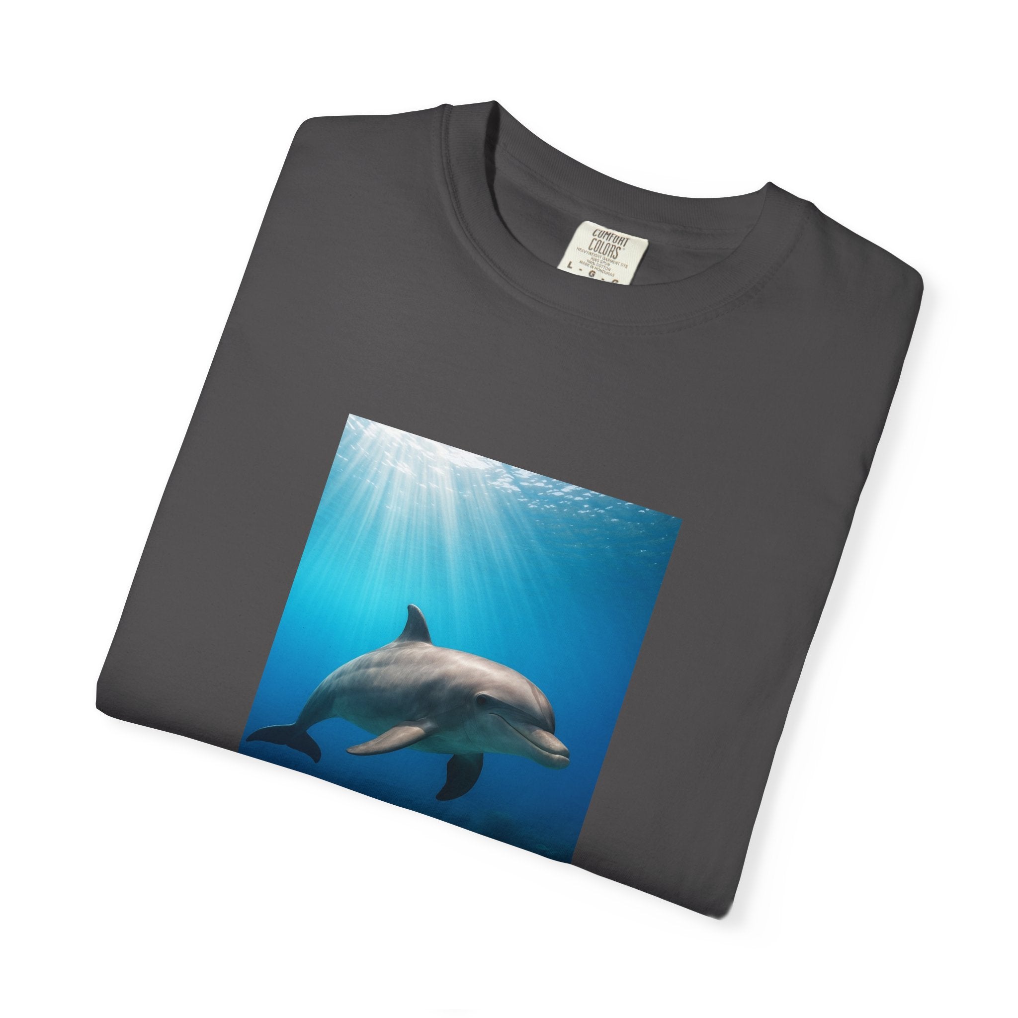 Dolphin Splash