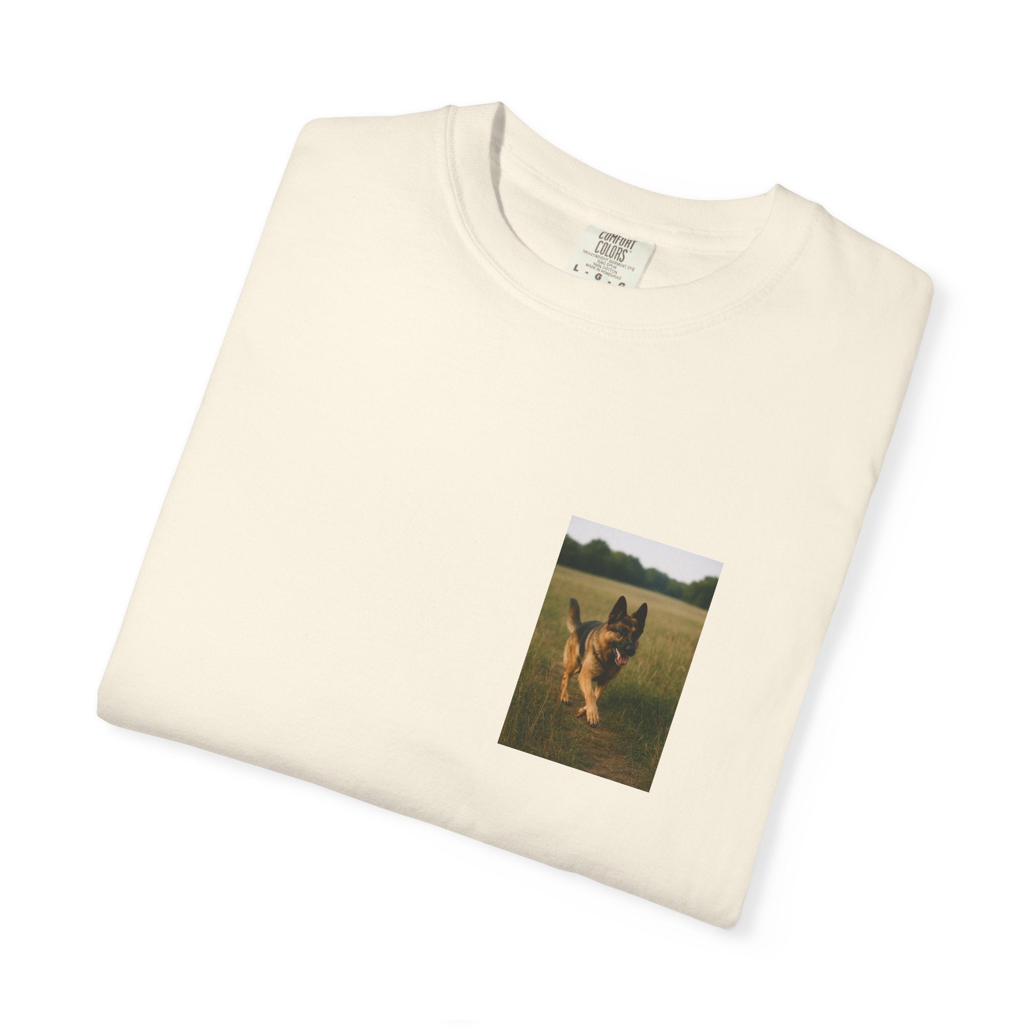 shep pocket test 7