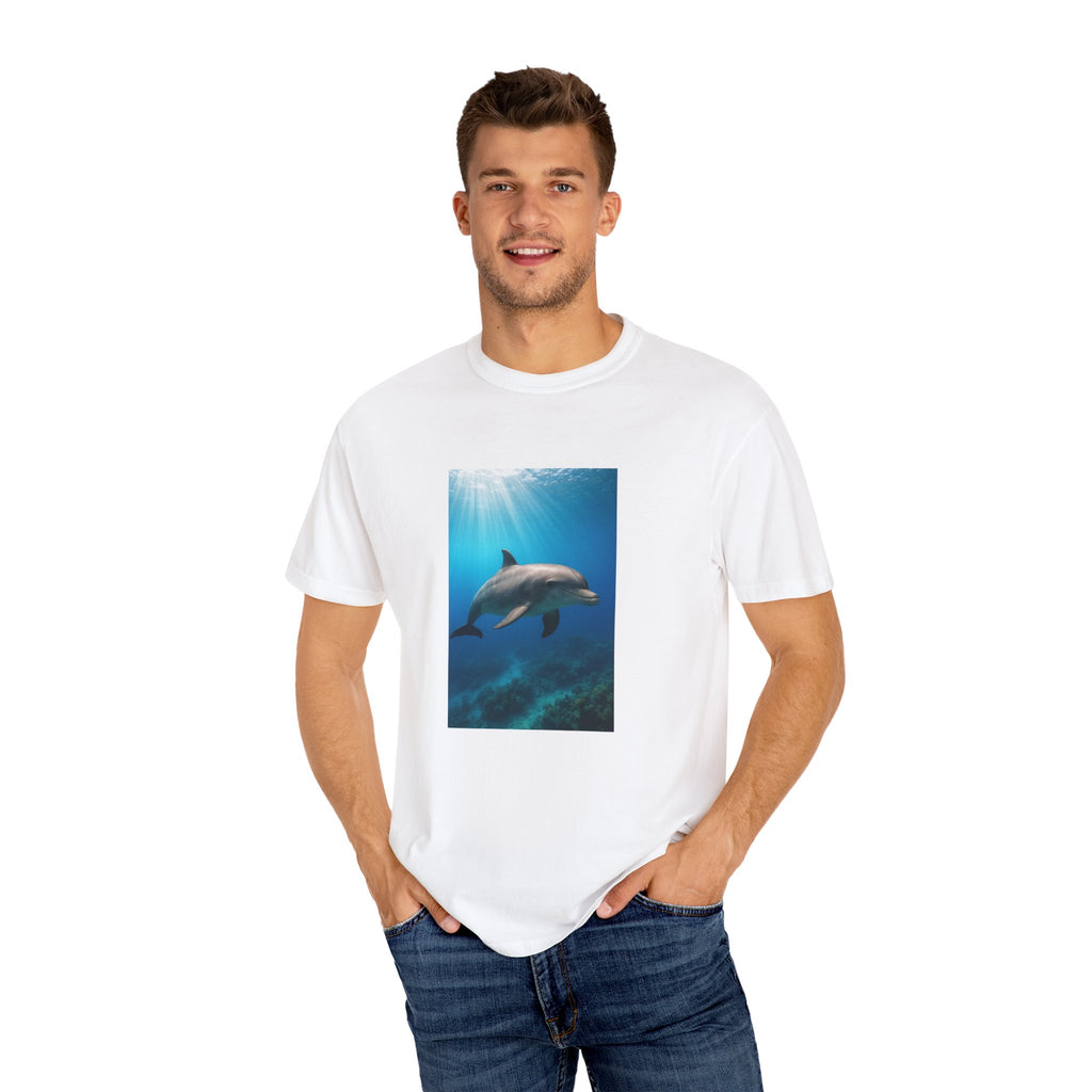 Dolphin Splash
