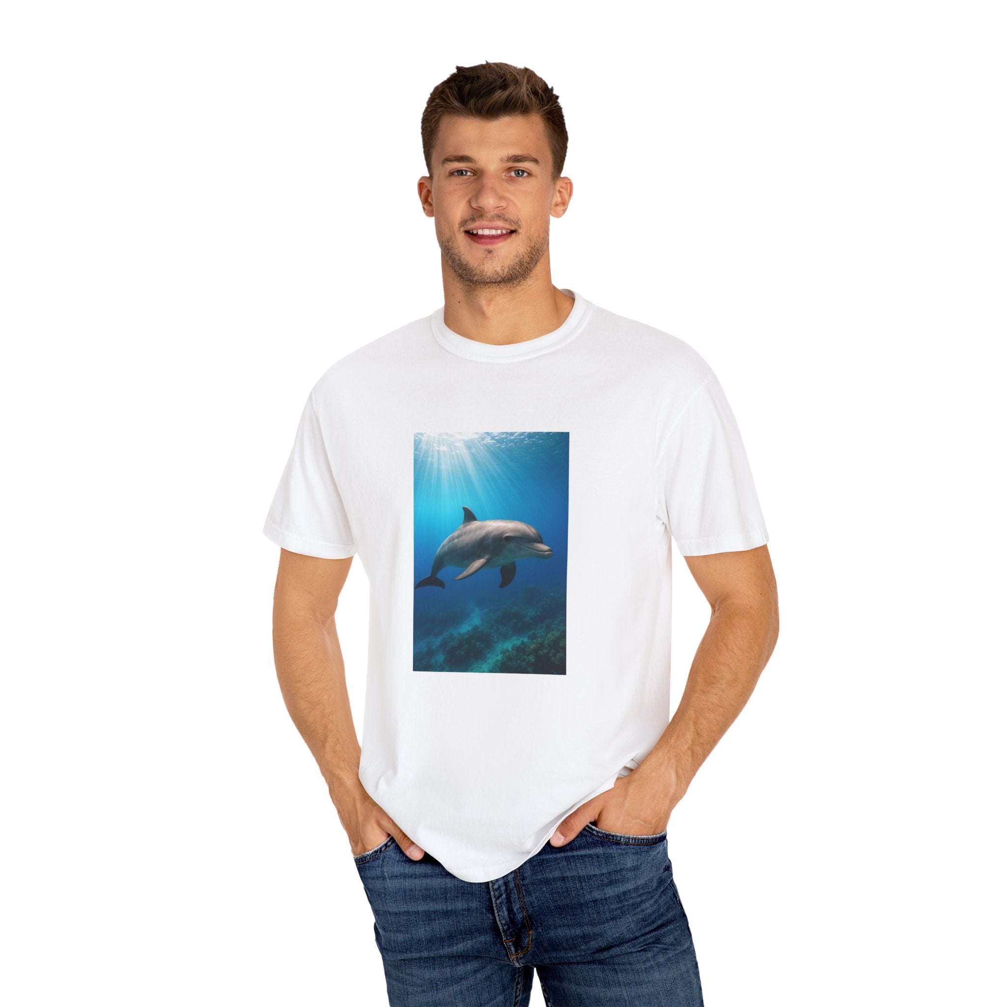 Dolphin Splash