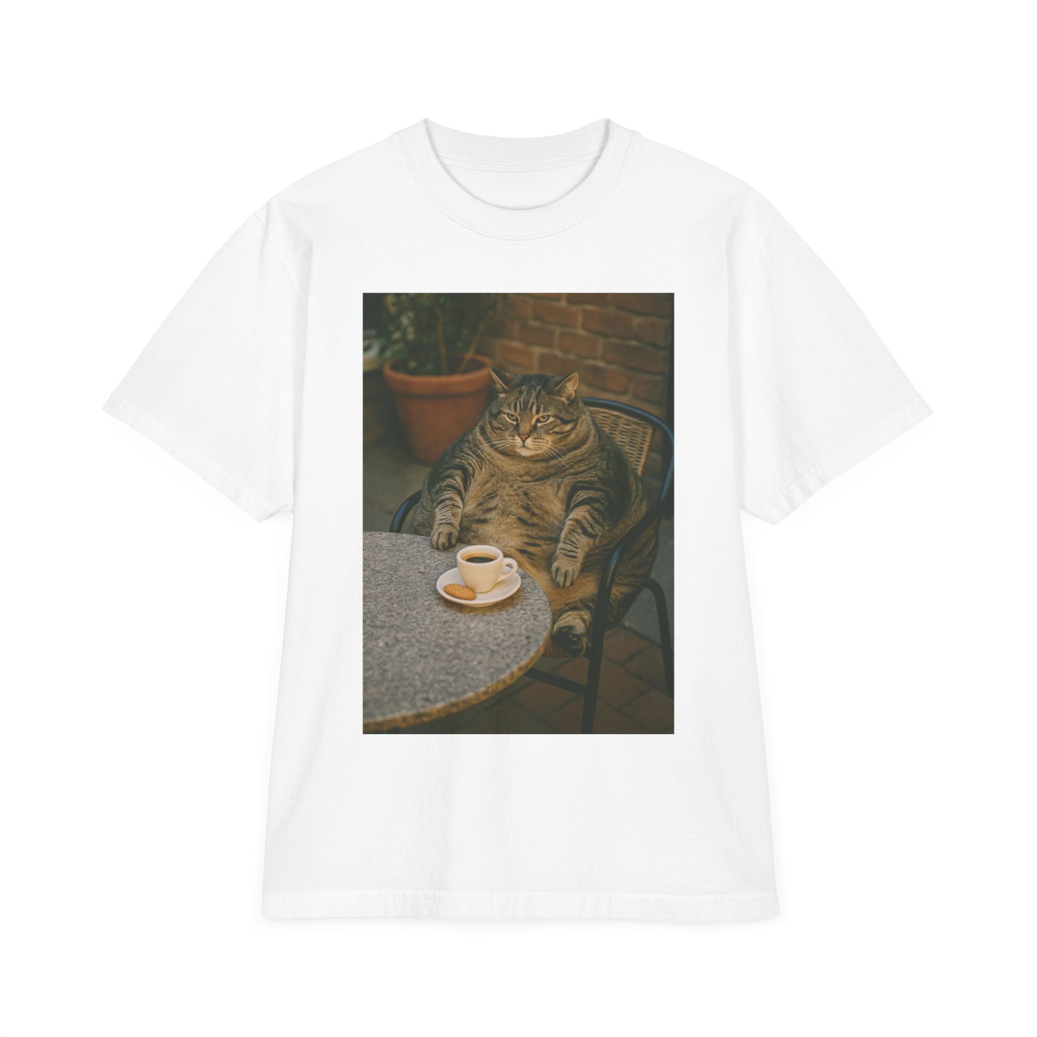 Chubby Cat Café