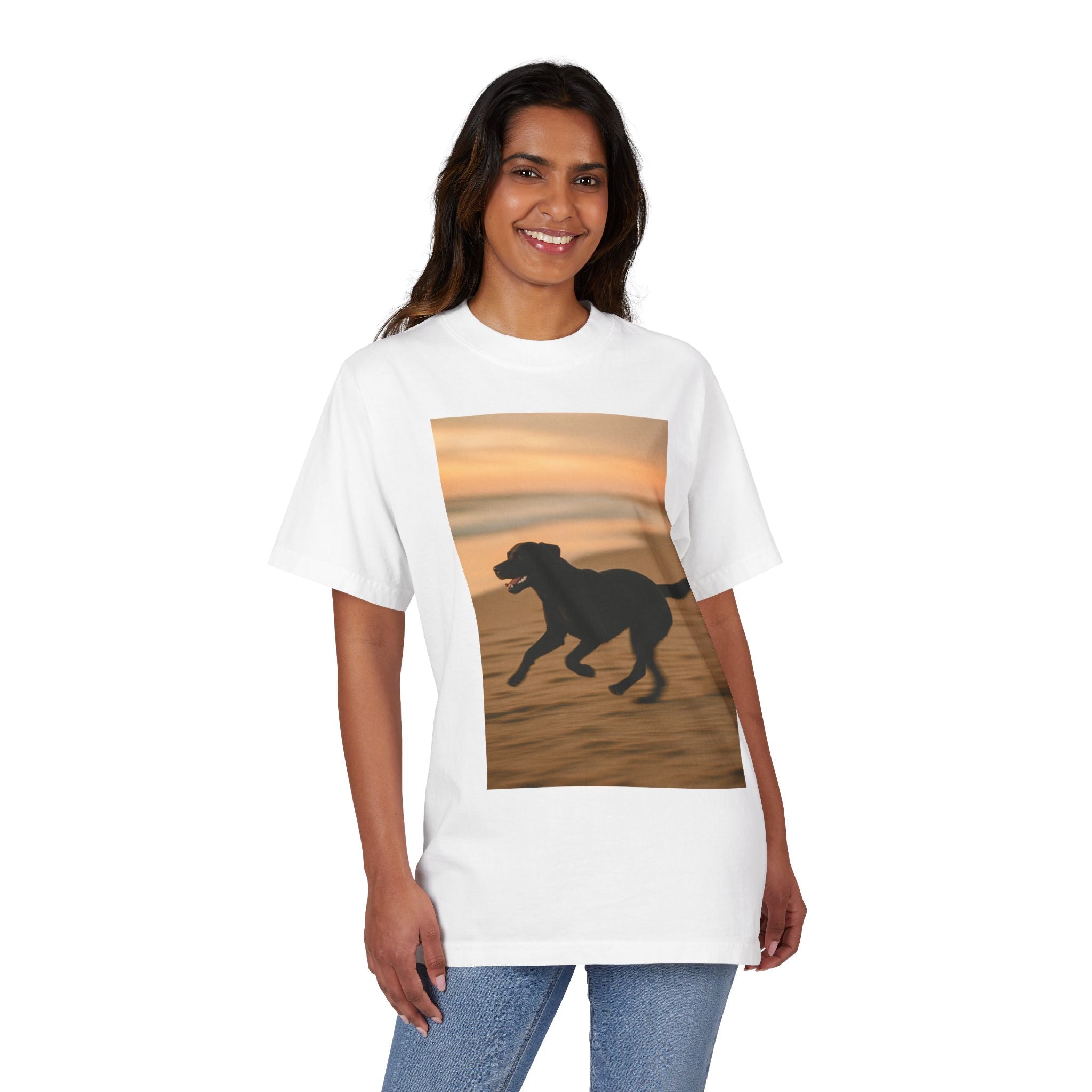 Galloping Lab Sunset
