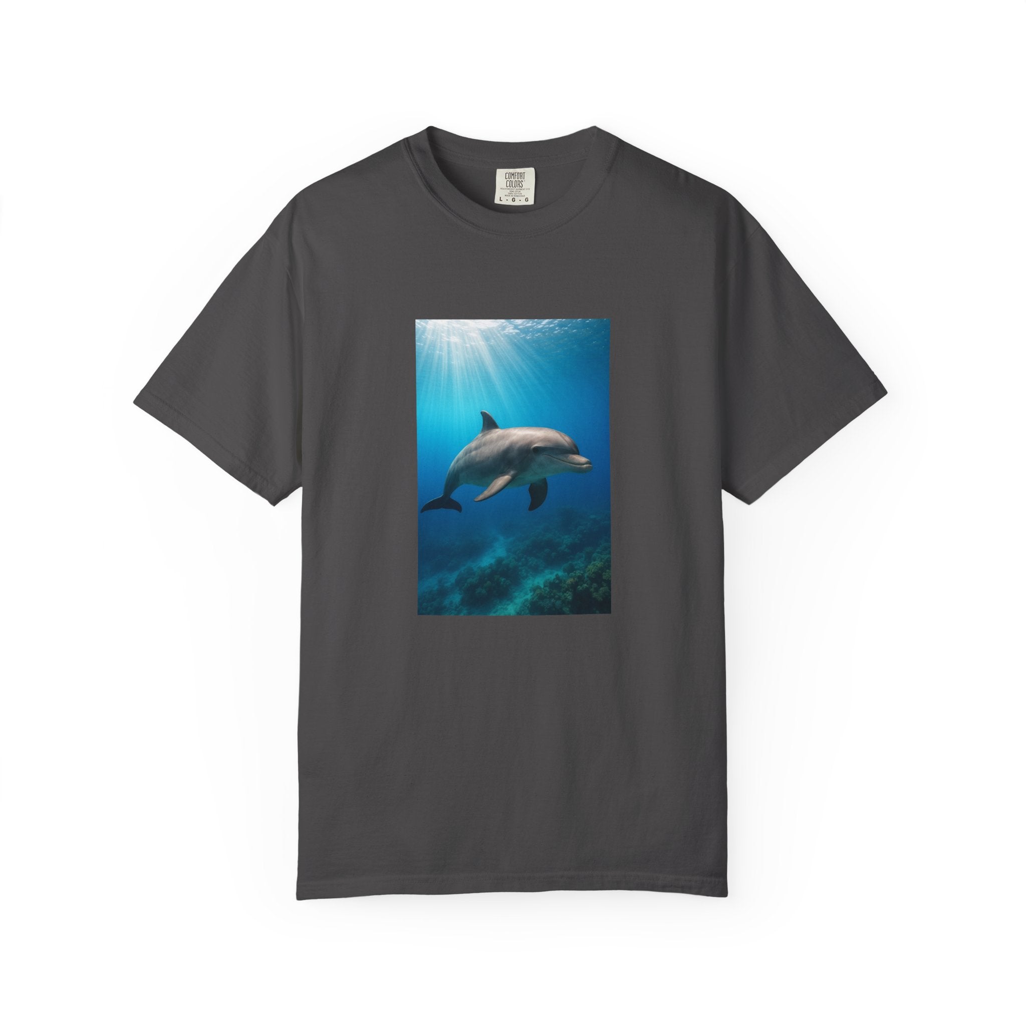 Dolphin Splash